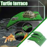 Mejores opciones de rampas tipo puente para tortugas de tierra