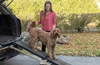 Guía de compra de rampas para perros grandes de 2 metros