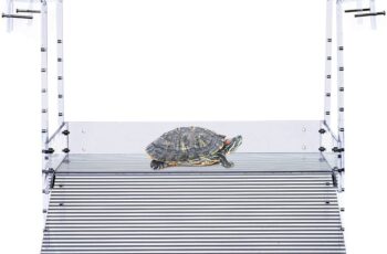 Guía completa para comprar rampas grandes para tortugas de agua