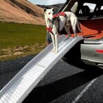 Mejora la movilidad de tu perro con rampas caseras para pick up